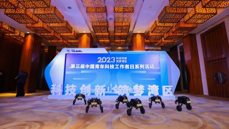 广州数据湖解决方案：构建高效数据管理的未来**